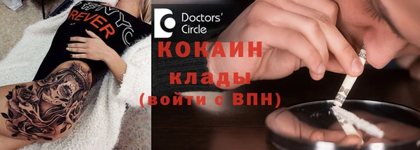 спайс Гусь-Хрустальный