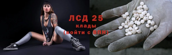 спайс Гусь-Хрустальный