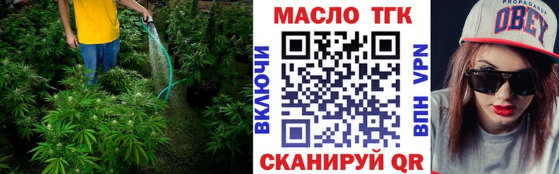 Купить  Лангепас  ТГК концентрат 
